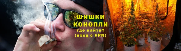 молекула духа Бронницы