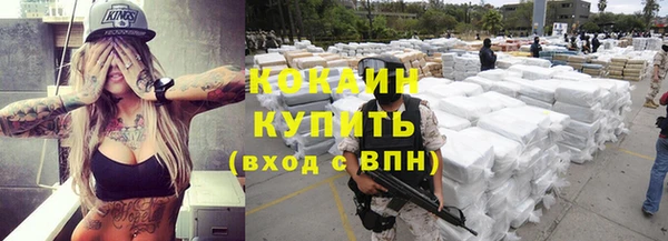 молекула духа Бронницы