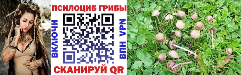 Псилоцибиновые грибы MAGIC MUSHROOMS  МЕГА   Новоульяновск 